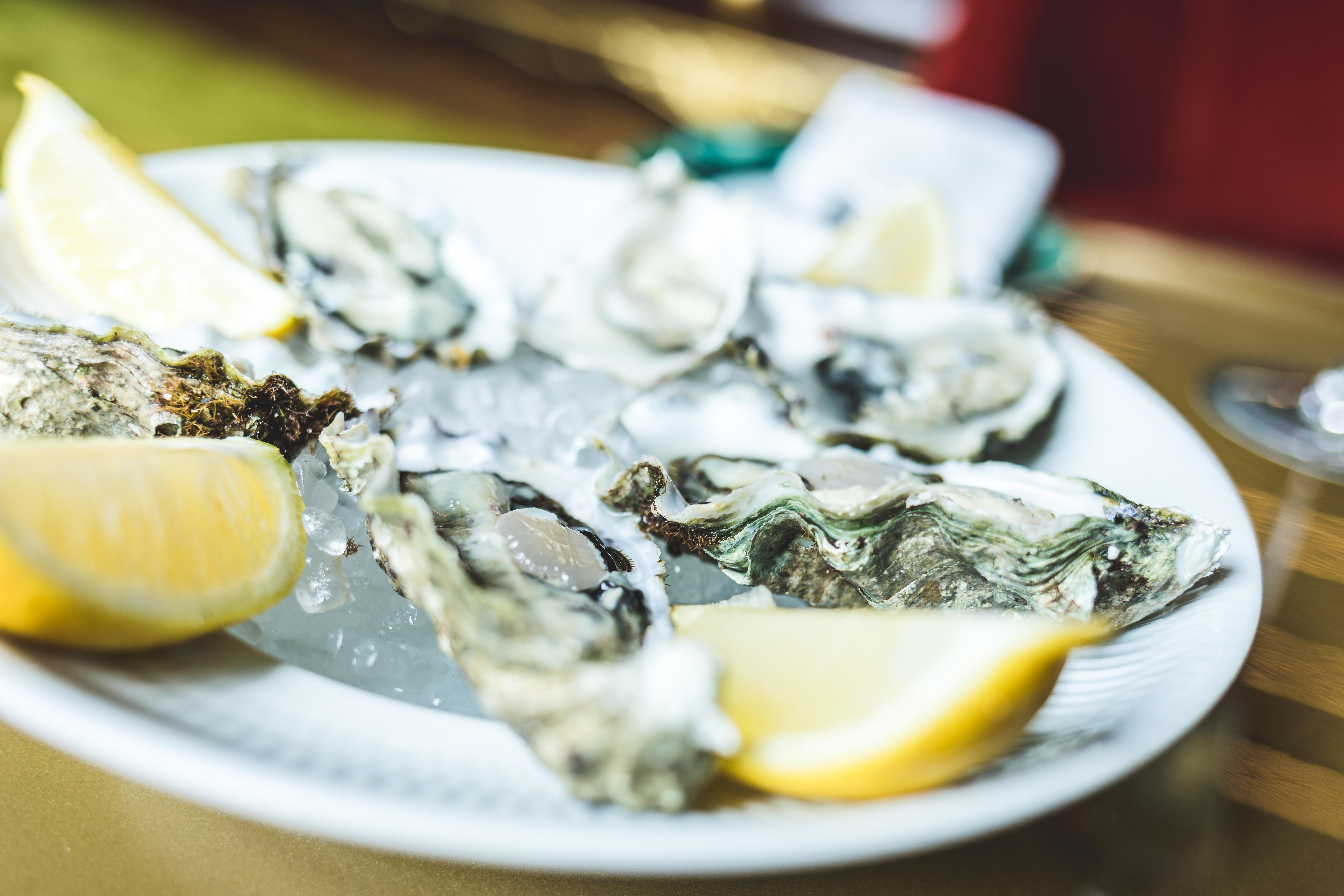 Vila Foz Hotel & Spa - Member Of Design Hotels Πόρτο Εξωτερικό φωτογραφία Oysters on ice with lemon